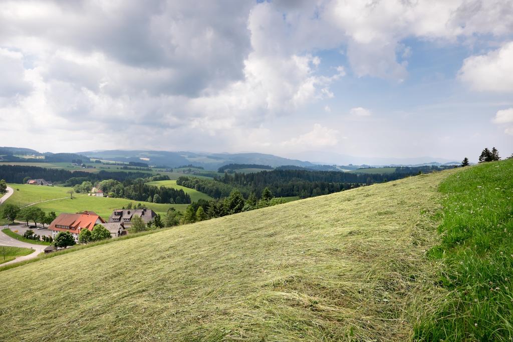 Gasthaus Sonne Neuhaeusle Sankt Märgen Zewnętrze zdjęcie